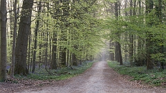 20150422_0056
