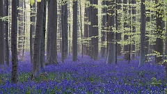 20150422_0063