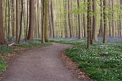 20150422_0117