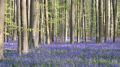 20150422_0141