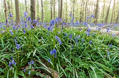 20150422_0211