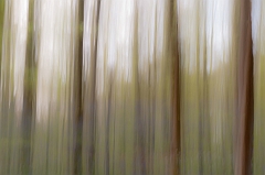 20150422_0220