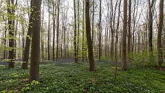 20150422_0236
