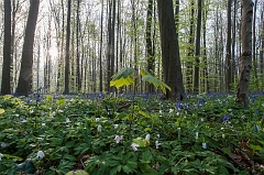 20150422_0238