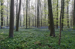 20150422_0240