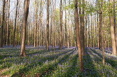 20150422_0243