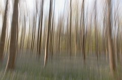 20150422_0246