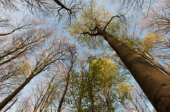 20150422_0253