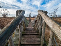 20201213 0029 : Hageven