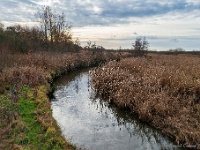 20201213 0031 : Hageven