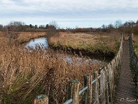 20201213 0033 : Hageven