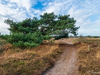 20201213 0035 : Hageven