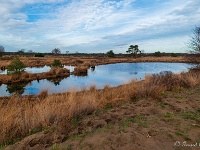 20201213 0037 : Hageven