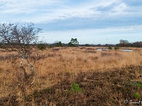 20201213 0044 : Hageven