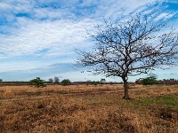 20201213 0047 : Hageven