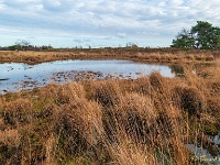 20201213 0048 : Hageven