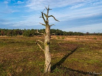 20201213 0051 : Hageven