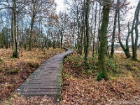 20201213 0058 : Hageven