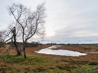 20201213 0061 : Hageven