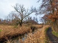 20201213 0080 : Hageven