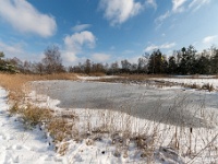 20210210 0020 : Hageven, Neerpelt