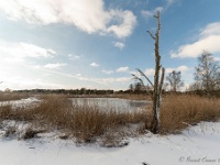 20210210 0022 : Hageven, Neerpelt