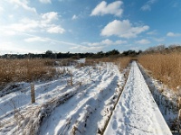 20210210 0023 : Hageven, Neerpelt