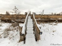 20210210 0054 : Hageven, Neerpelt