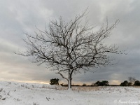 20210210 0071 : Hageven, Neerpelt