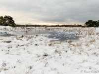 20210210 0073 : Hageven, Neerpelt