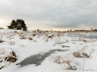 20210210 0074 : Hageven, Neerpelt