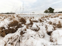 20210210 0088 : Hageven, Neerpelt