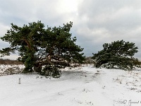 20210210 0090 : Hageven, Neerpelt