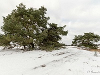 20210210 0094 : Hageven, Neerpelt