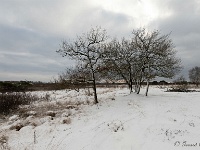 20210210 0096 : Hageven, Neerpelt