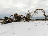 20210210 0107 : Hageven, Neerpelt