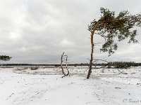 20210210 0112 : Hageven, Neerpelt