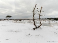 20210210 0115 : Hageven, Neerpelt