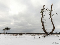 20210210 0118 : Hageven, Neerpelt