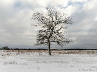 20210210 0123 : Hageven, Neerpelt