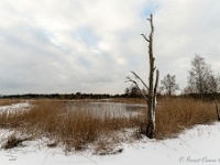 20210210 0151 : Hageven, Neerpelt