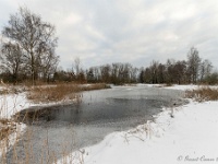 20210210 0157 : Hageven, Neerpelt