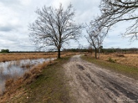 20210219 0008 : Hageven