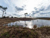 20210219 0060 : Hageven