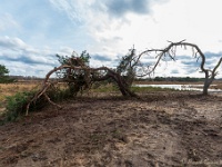 Natuurgebieden