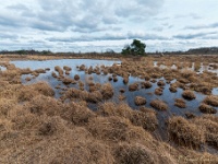 20210219 0076 : Hageven