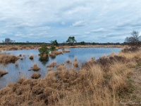 20210219 0084 : Hageven