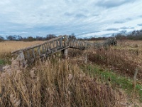 20210219 0094 : Hageven