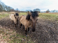 20210219 0105 : Hageven