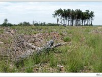 20110820_0050